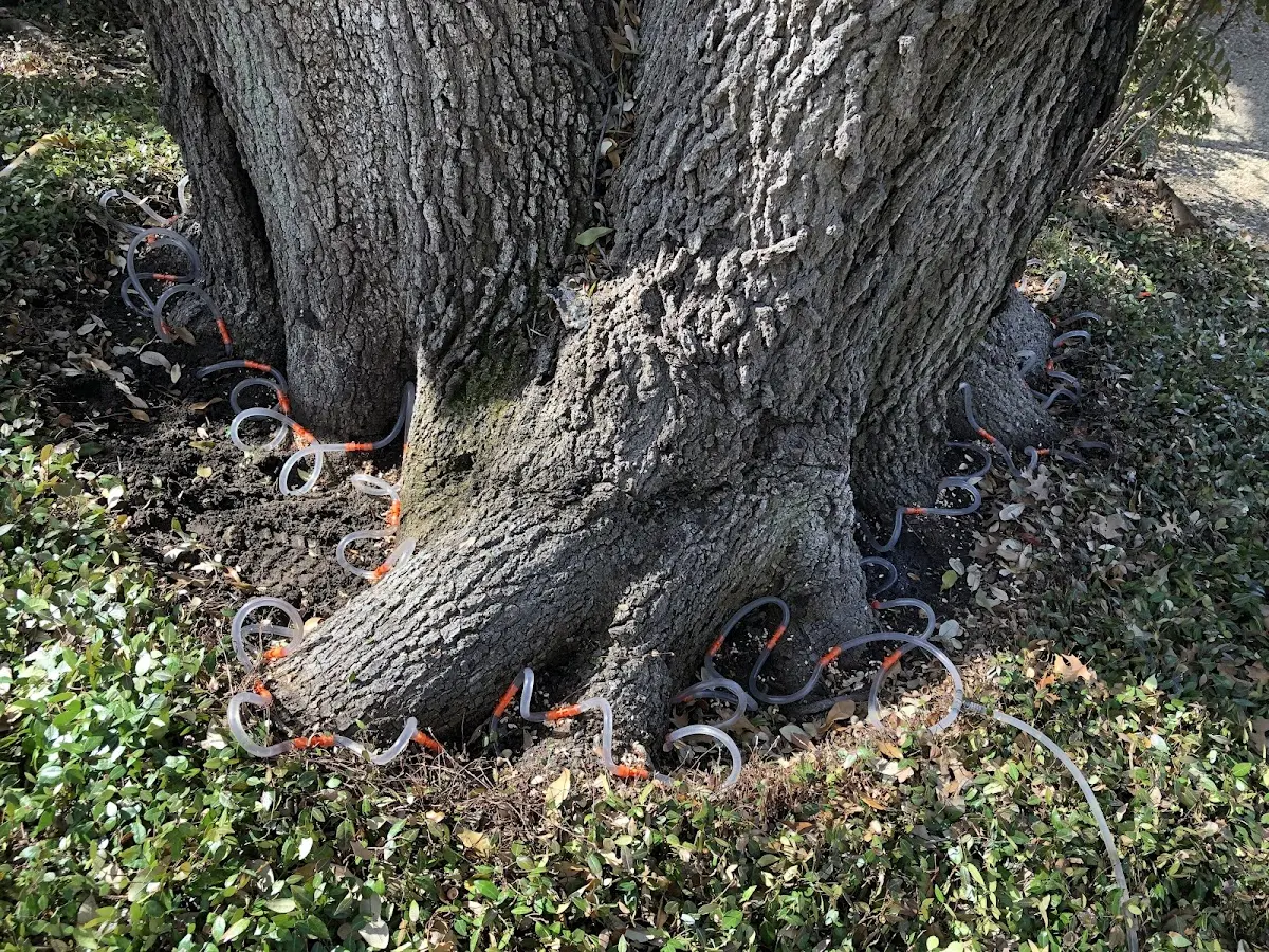 Detailed Shrub and Hedge Trimming job site in Renner