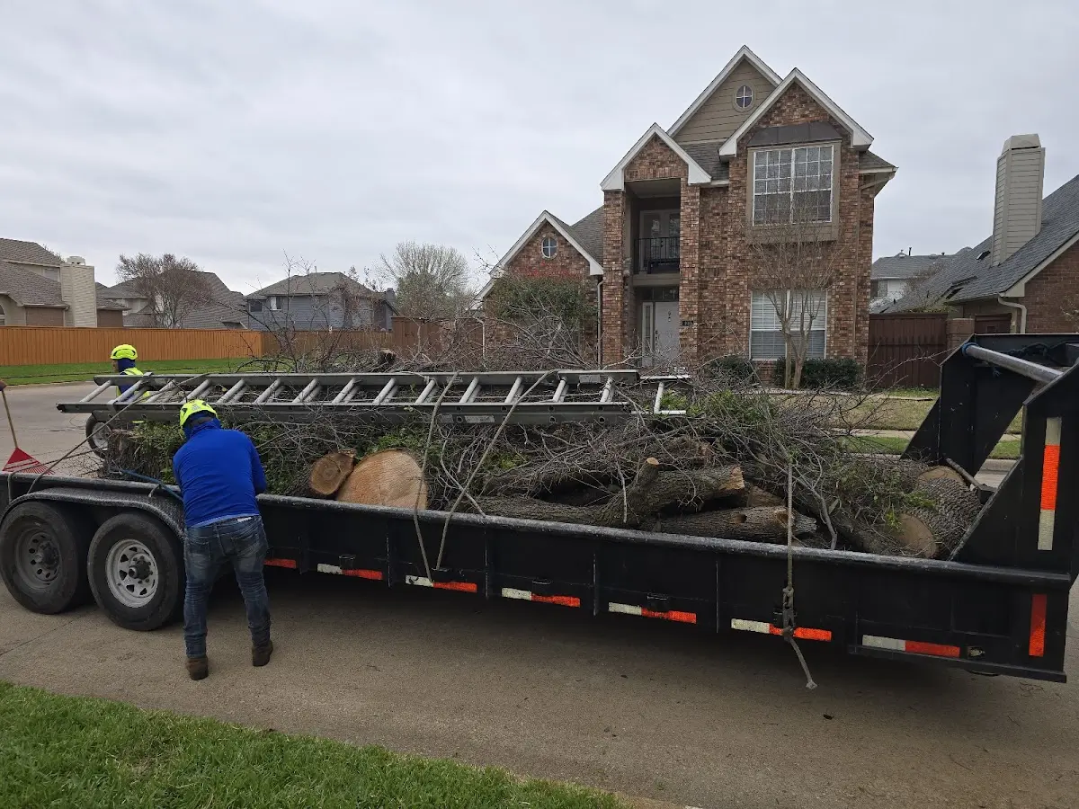 Expert Tree Fertilization with proper safety equipment in Renner